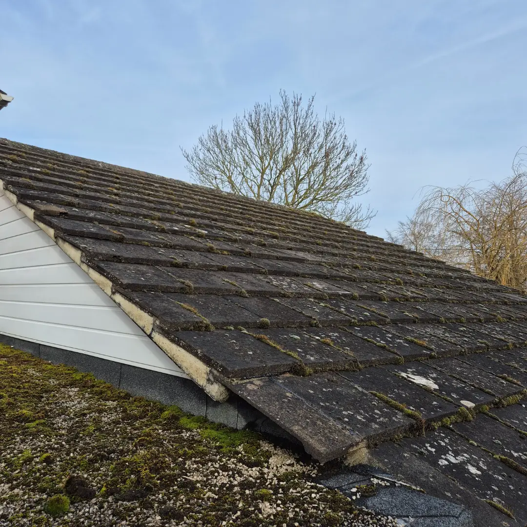 picture of a roof covered in moss