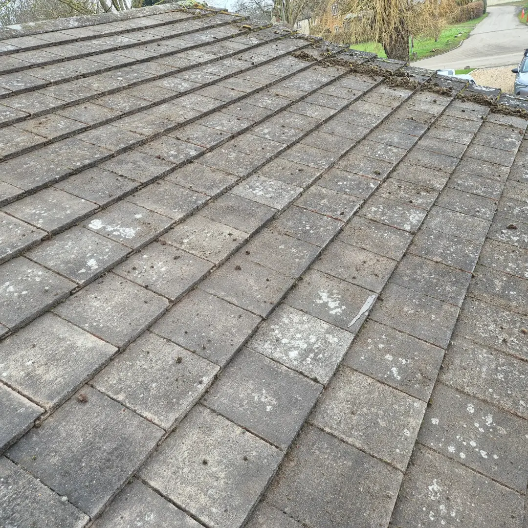picture of a freshly cleaned roof