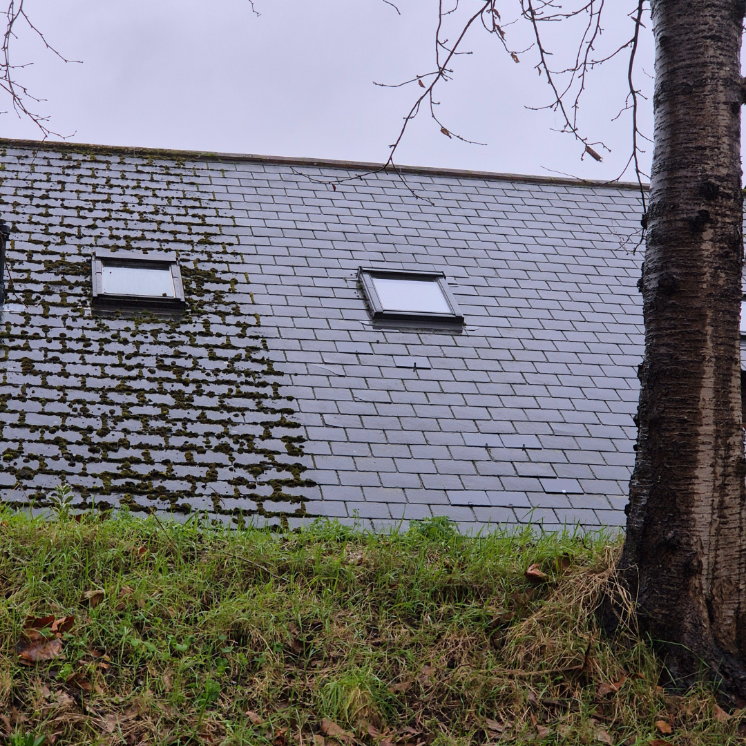 Picture of a roof after being cleaned