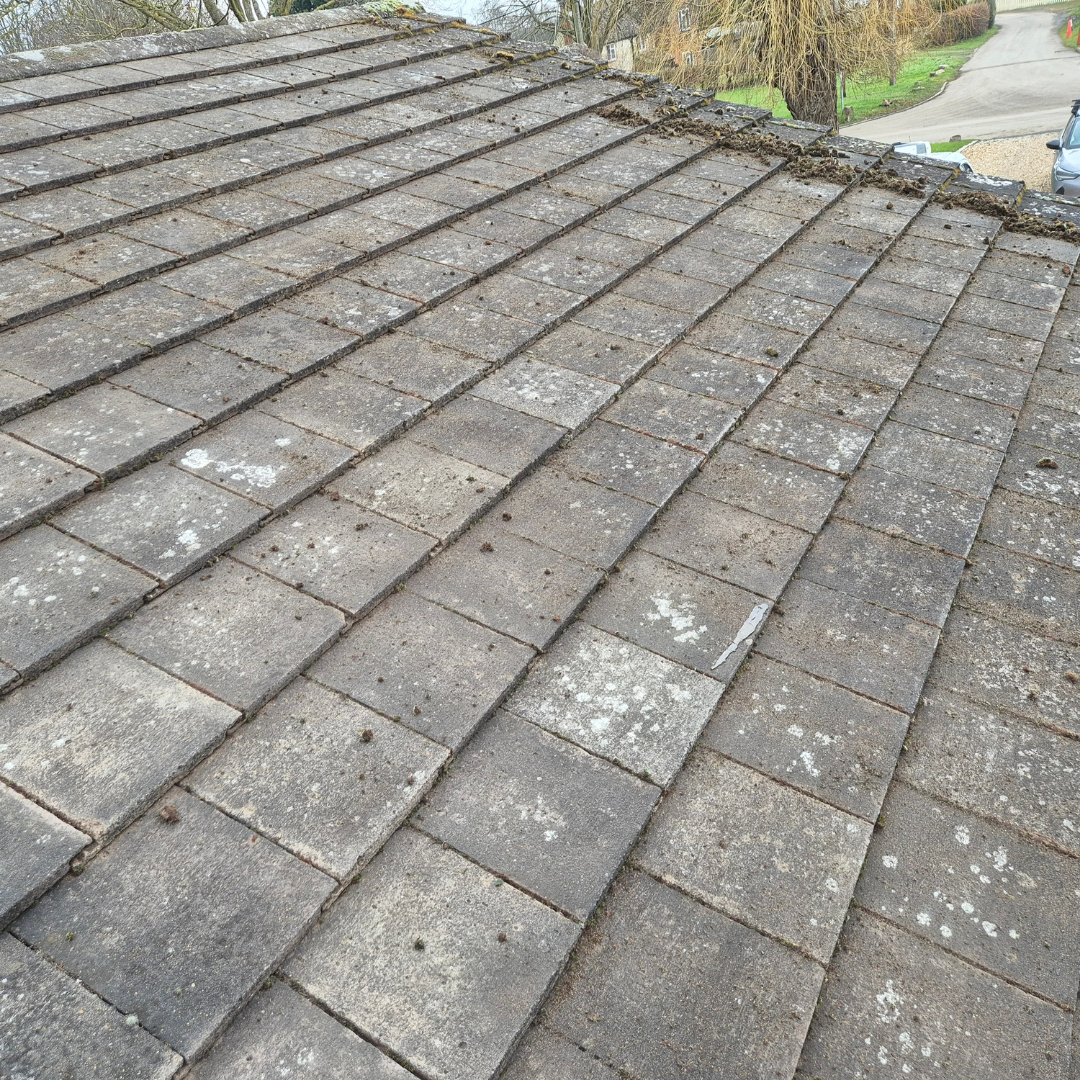 Roof Cleaning