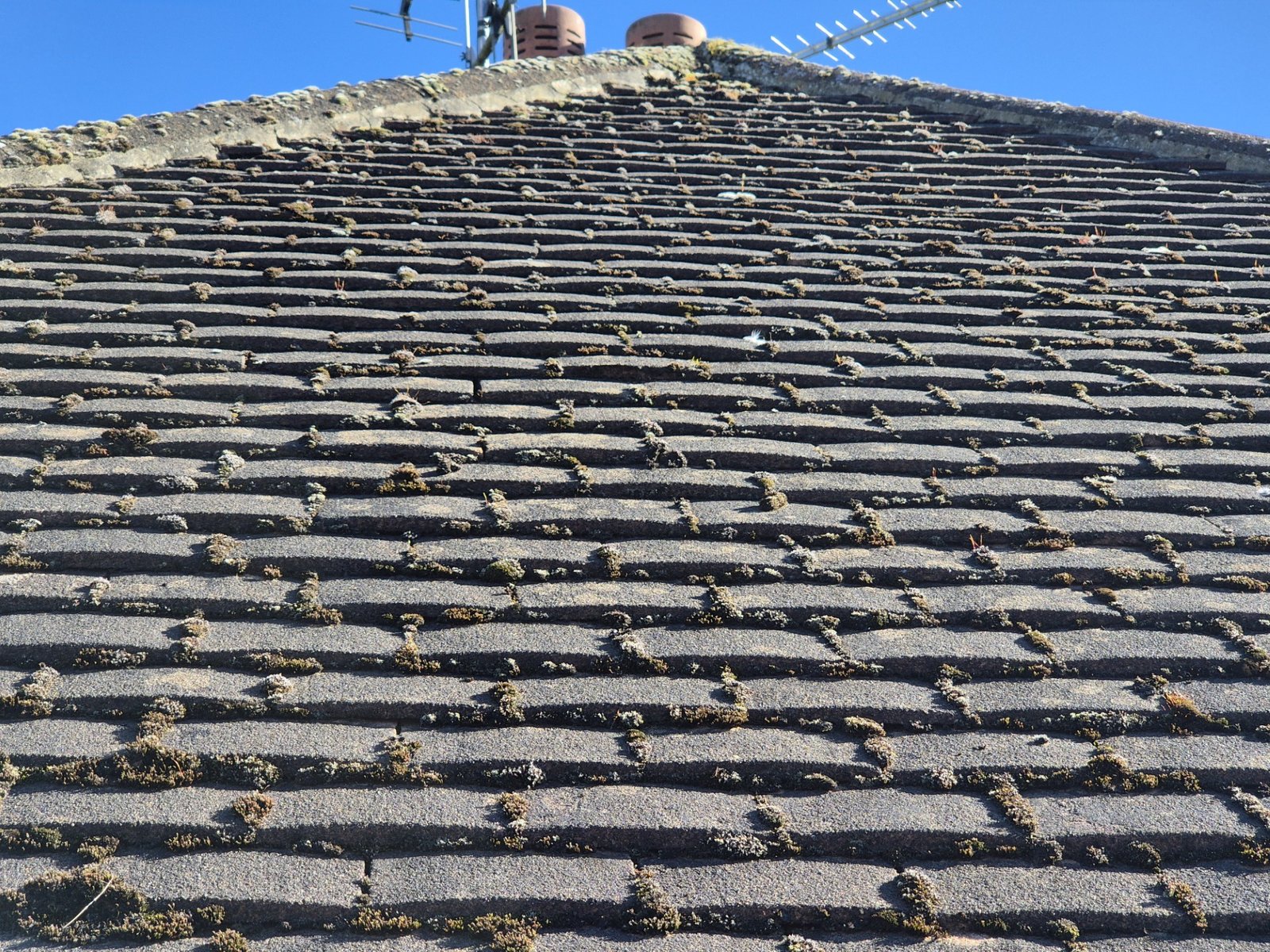 thumbnail_20250302_130805