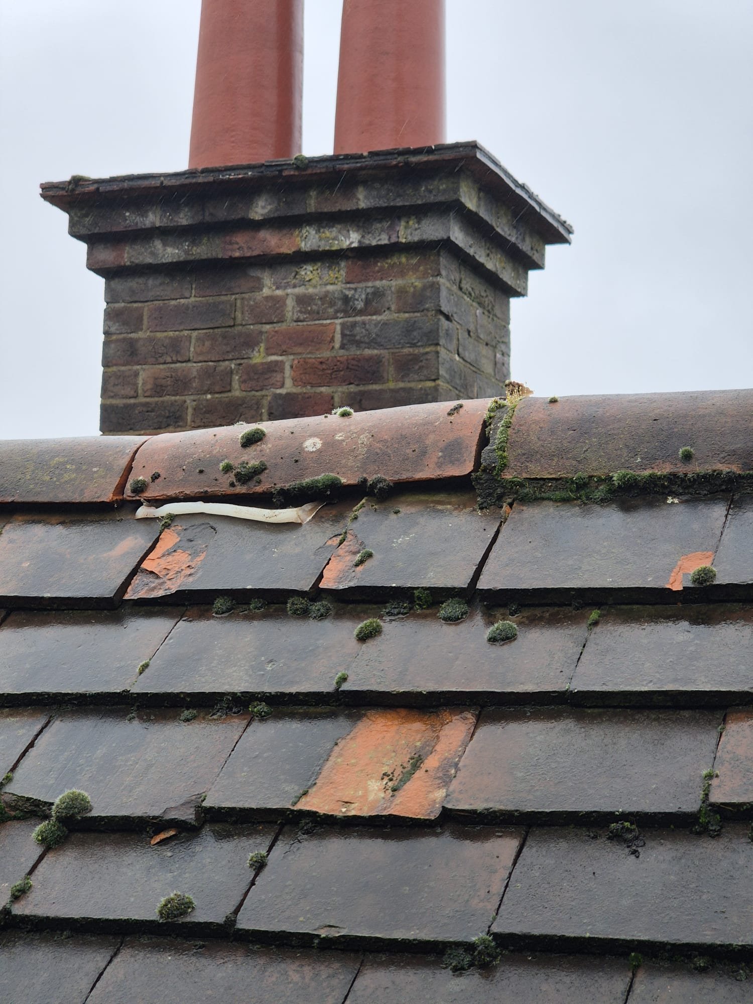 WhatsApp Image 2026-02-05 at 10.20.28 PM (1)