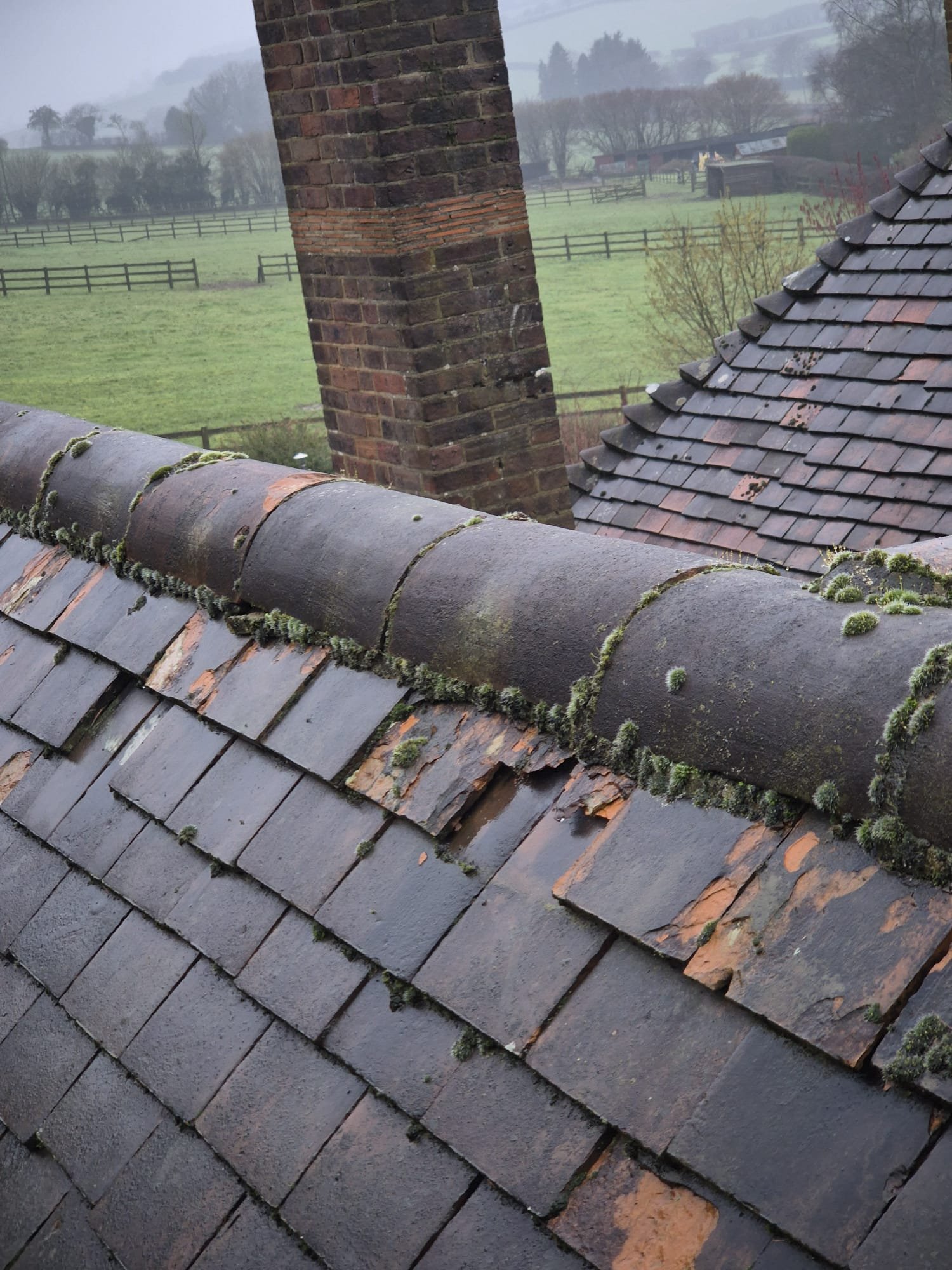 WhatsApp Image 2026-02-05 at 10.20.29 PM (3)