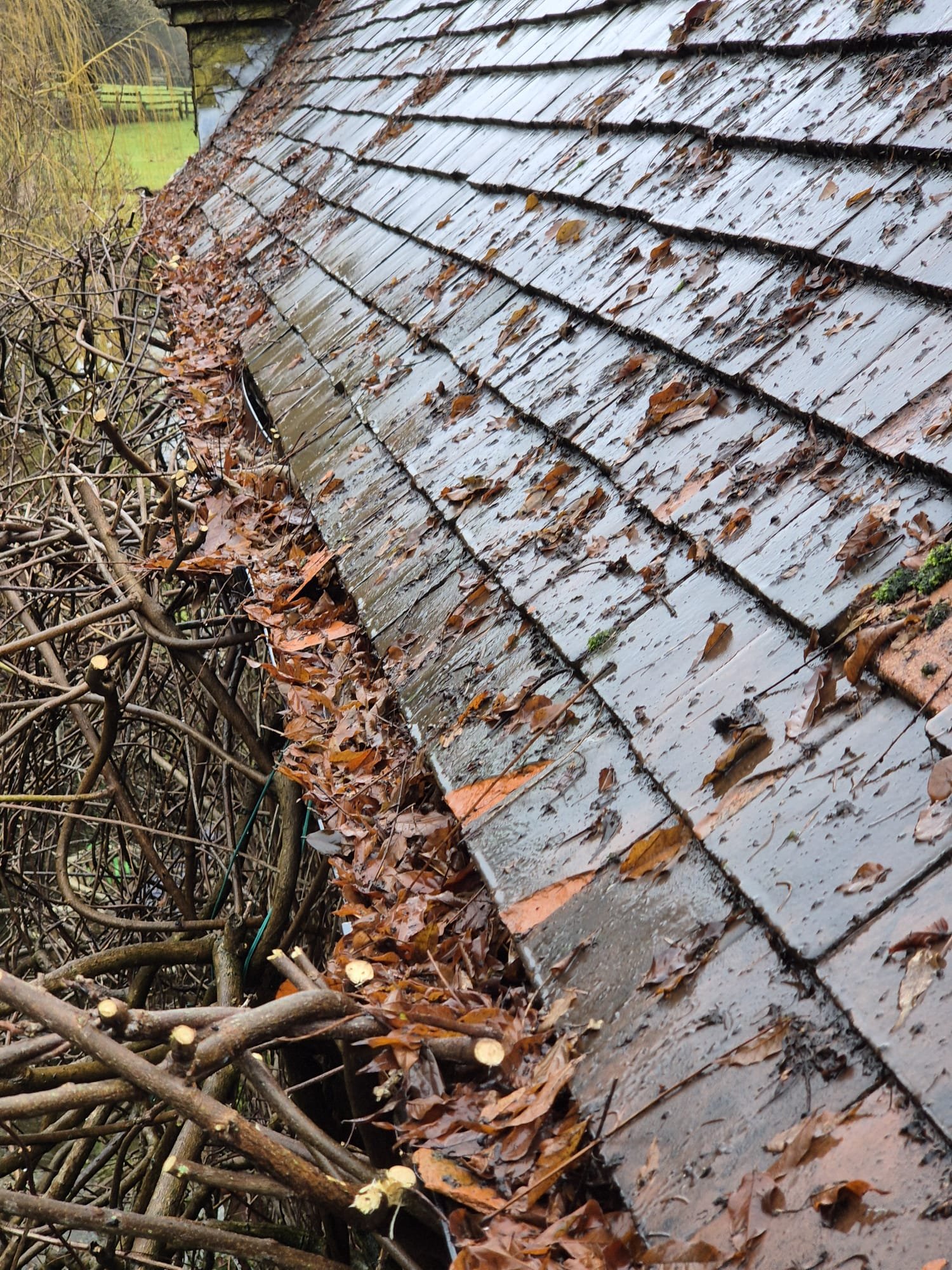 WhatsApp Image 2026-02-05 at 10.41.00 PM (1)