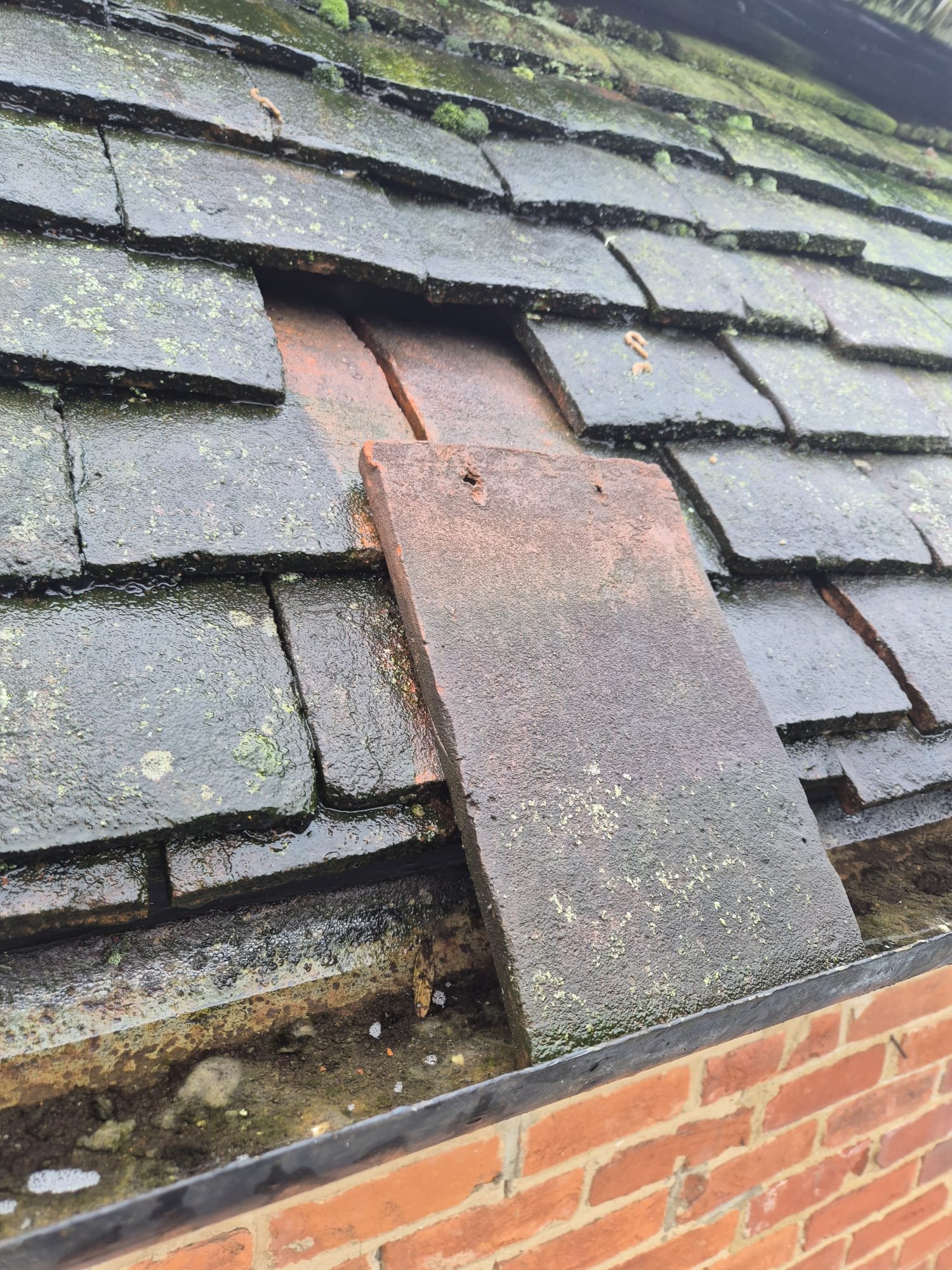 WhatsApp Image 2026-02-14 at 6.54.33 PM (3)