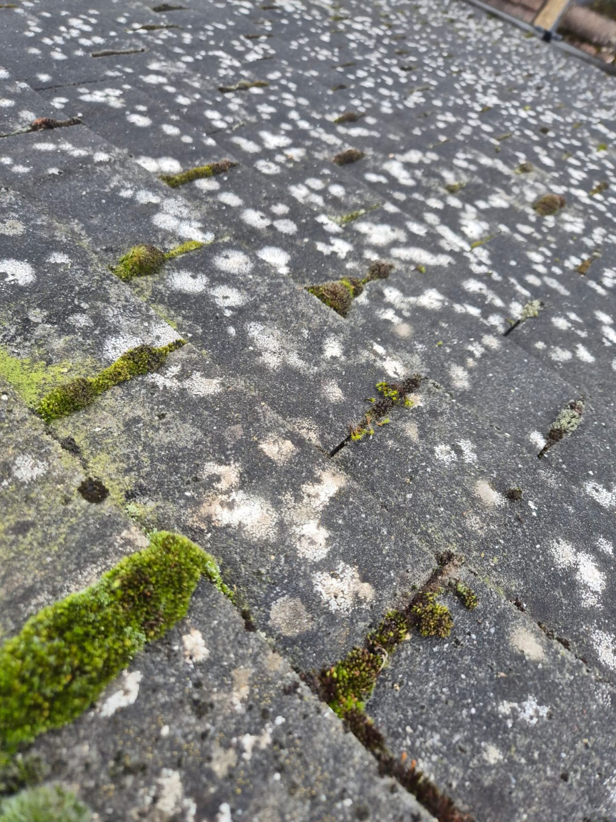 WhatsApp Image 2026-03-17 at 9.06.06 AM